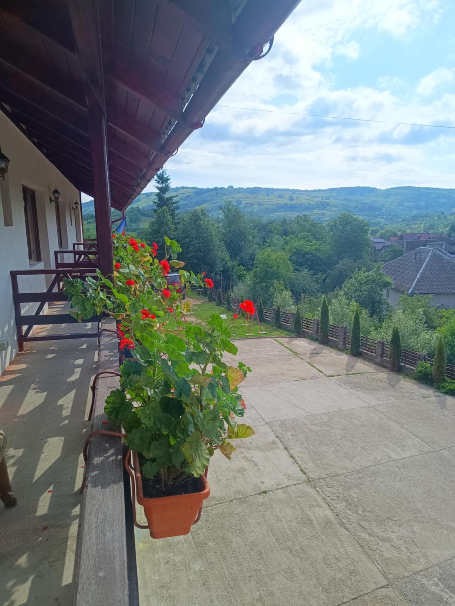 Pensiunea In Poiana Glod  Esterno foto